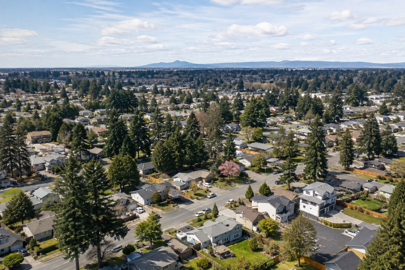 Aloha Gutter Services A technician Aloha Gutter Services showing ann Aerial view of an Aloha, Oregon neighborhood featuring numerous houses, trees, and streets. There are patches of green and some flowering trees in the landscape with mountains visible in the distance under a partly cloudy sky.
